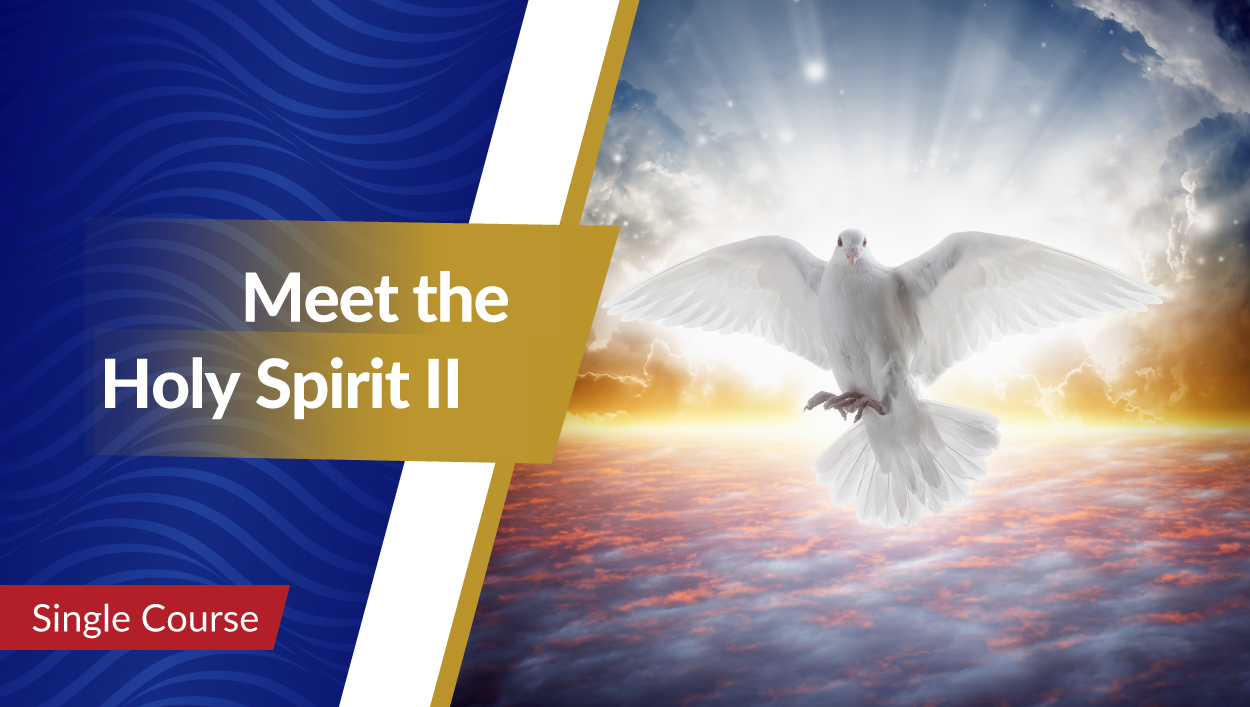 Meet the Holy Spirit II